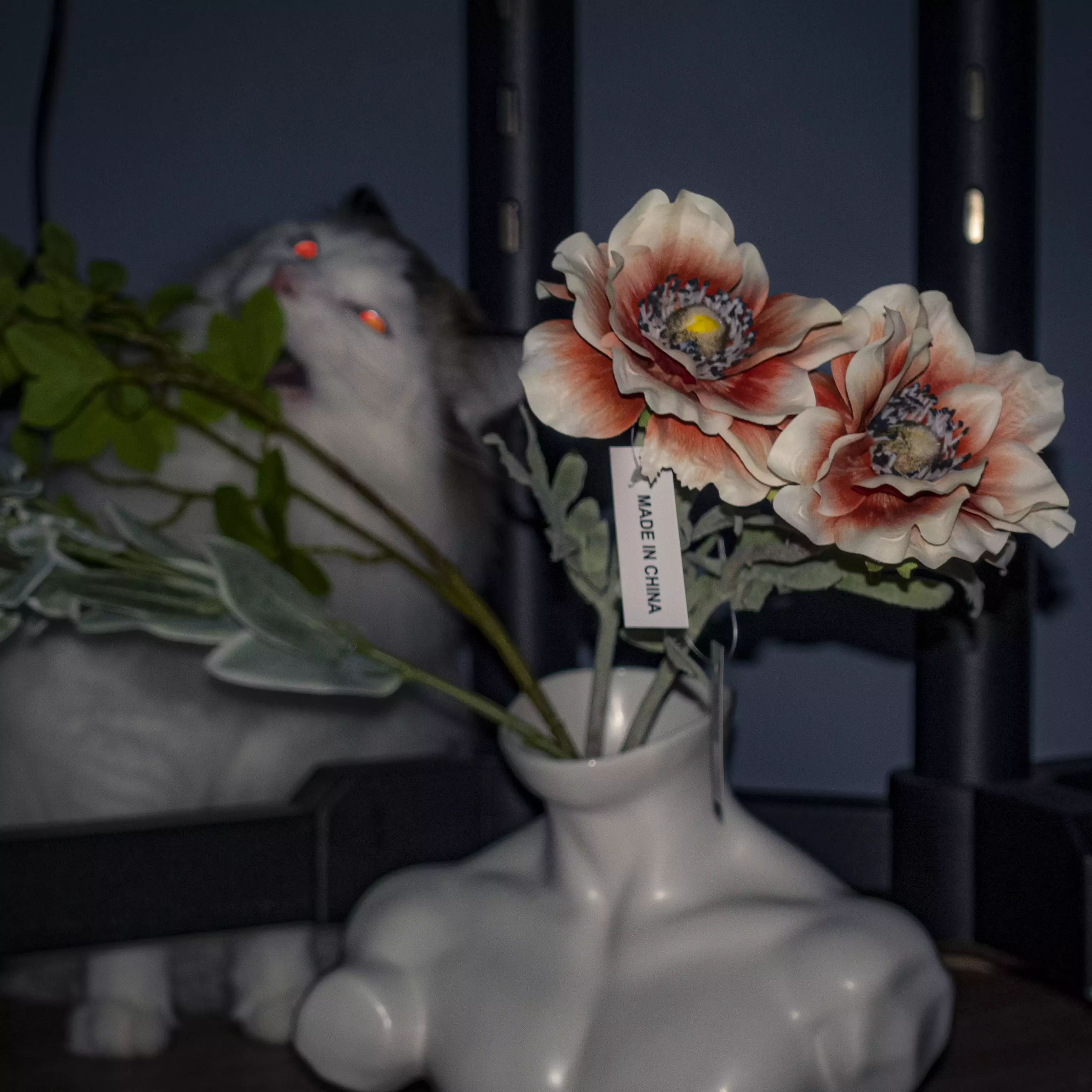 家猫在室内的日常（第 5 幅）